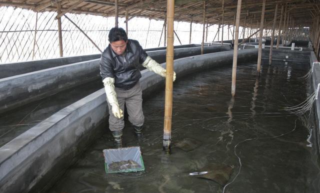 自家确权耕地上建养殖场算违章建筑吗？与农作物种植的合规性解析