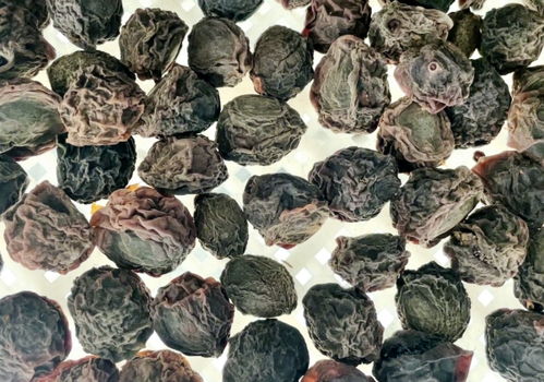 绵阳平武 激活果梅加工 新引擎 科技赋能农业高效生产