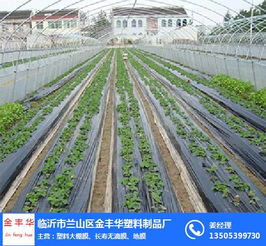 塑料地膜价格 临沭地膜价格 金丰华塑料制品厂 查看