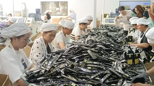 保山借精品咖啡产业园 起跳